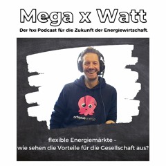 Flexible Energiemärkte – Wie sehen die Vorteile für die Gesellschaft aus? (Bastian, Octopus Energy)