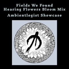 Fields We Found 'Hearing Flowers Bloom' Mix (Ambientologist showcase)