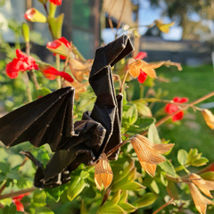 A Tale about Dragons