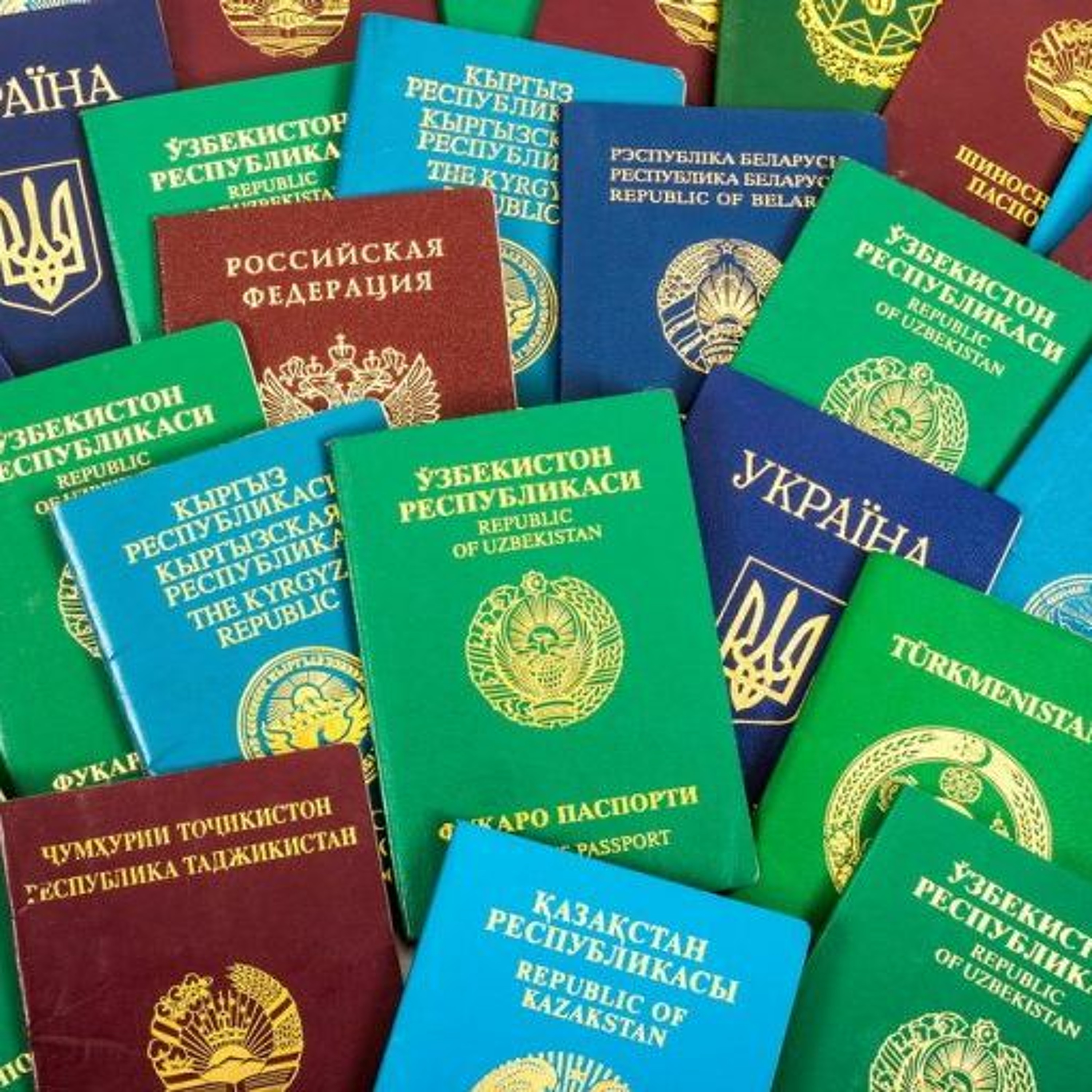 Mobility Diplomacy: How States Maximize Passport Power episode artwork