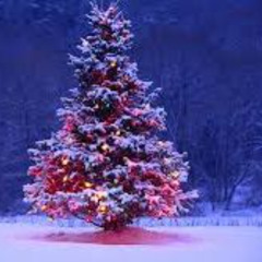 Lady, Are You With Me InDaHouSe