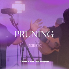 Pruning (Acoustic)