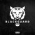 Artwork for Нурминский - Black Guard