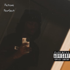 Picture Perfect (Prod. 976War & Vbo)