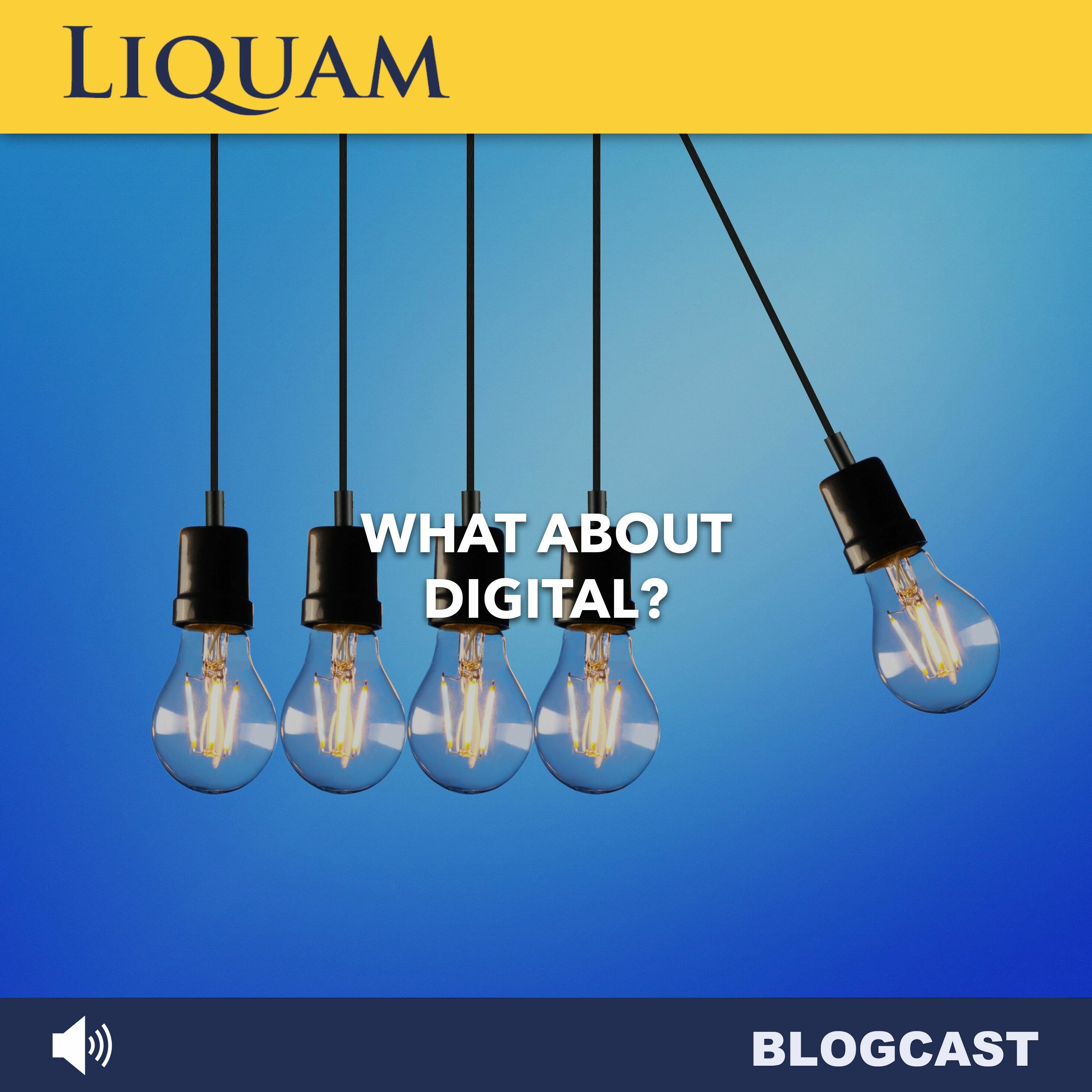 Liquam