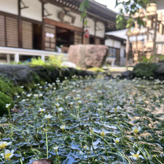 夏の名残beat.BAMBOO.ROM/ZENI