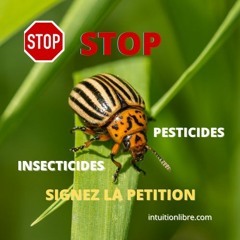 Petition Contre La Disparition Des Insectes