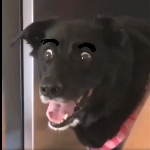 Nasa Peepo