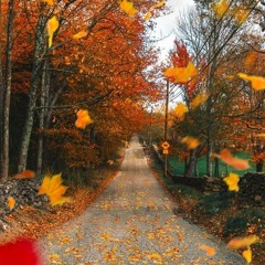 AnneRobinson - All Too Well (10 minute version) - COVER (1).m4a