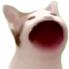 () &%$^#$%^&