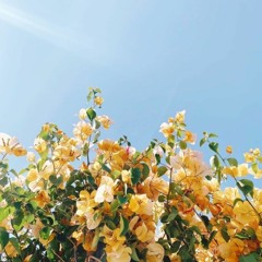 Cover Me In Sunshine