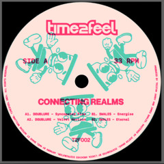 Doublure & Swales - Connecting Realms EP [T2F002]