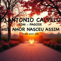 MEU AMOR NASCEU ASSIM