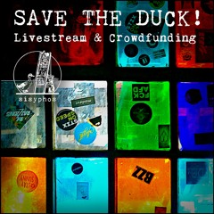 SAVE THE DUCK! - Wintergarten Sessions