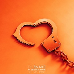 DJ Snake - You Are My High (Lil Viic Remix)