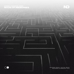 Lynnic, ItsArius & Dinia - Maze Of Memories