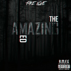 TheAmazingEd - Fake Love(Freestyle)