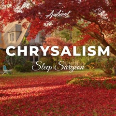 Sleep Surgeon - Chrysalism