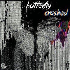 butterflycrashed - (Official Audio)instrumental