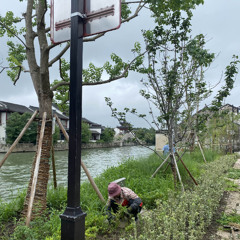 crybaby - that one song (qube)