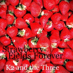 Strawberry Fields Forever ( The Beatles cover)