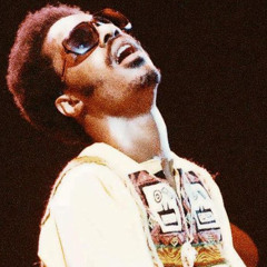 STEViE WONDER MiXTAPE : DON'T YOU WORRY 'BOUT A THiNG