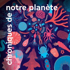 Homo spaciens - Chroniques de notre planète - Épisode 6