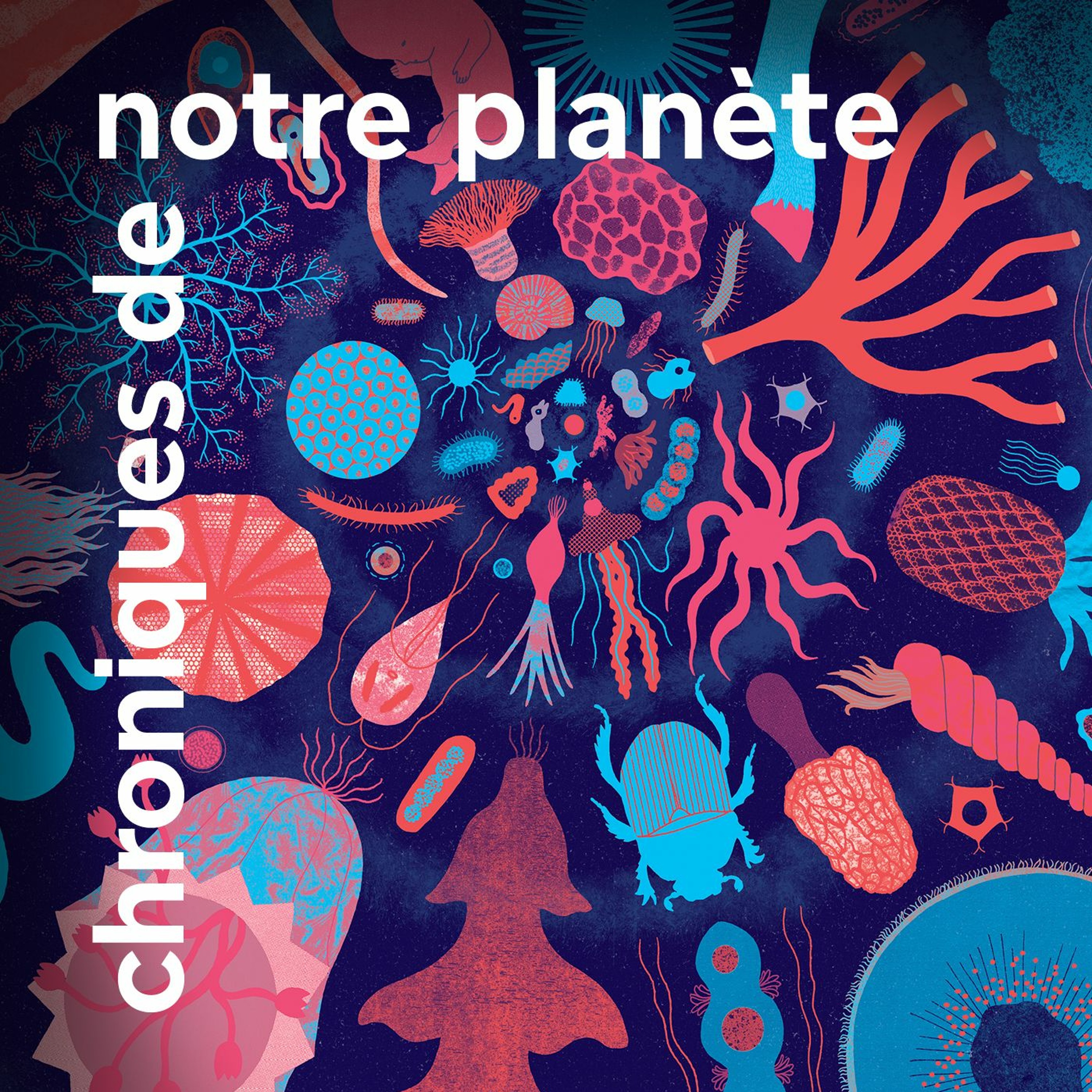 Muséum national d\'Histoire naturelle