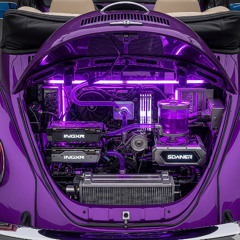 DAIMAOU-Purple Beetle Skip