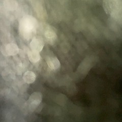 lady in glass