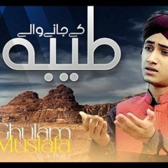 Taiba Ke Jaane Wale - Ghulam Mustafa Qadri - Official Video.mp3