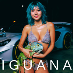 Iguana