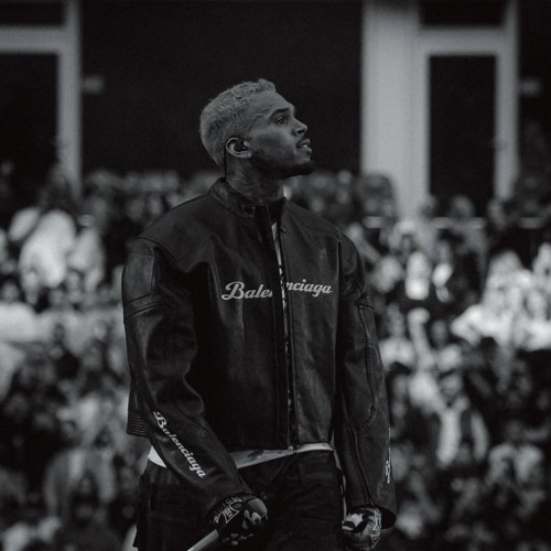 Chris Brown - Obvious (Toss It)(AI Reconstruction)