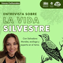 La vida silvestre en Nicaragua. Voces Culturales.
