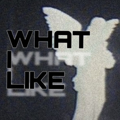 What I Like_vol.8