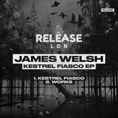 James Welsh Kestrel Fiasco Clip