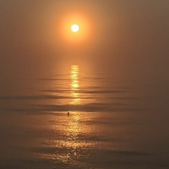 Sun's Corona(feat) DesoloZ