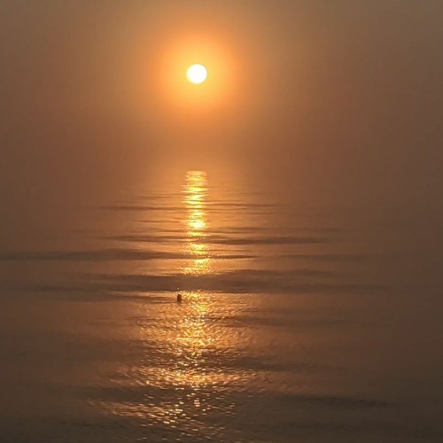 Sun's Corona(feat) DesoloZ