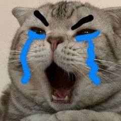 Tình Yêu Còn Đâu - DTN