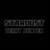 STARDUST ( Terry Hunter set ) DJ mix artwork - Electronic music tracklist cover image