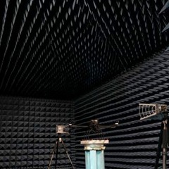 Echo Chamber