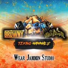DJ Browny & MC Wonder - Tekino Mammals !!