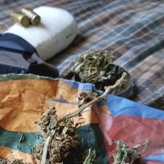 casquillos