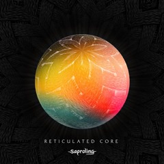 Reticulated Core