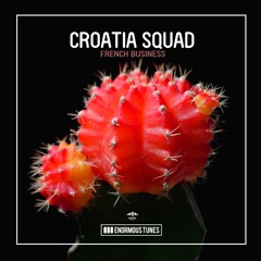 Croatia Squad - French Business