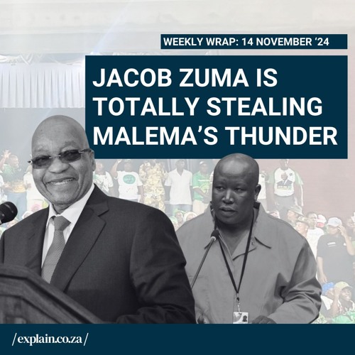 14 Nov '24:  Jacob Zuma is totally stealing Malema’s thunder 😆