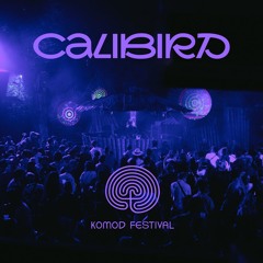 Calibird @ KOMOD Festival 2024 | Waldbühne