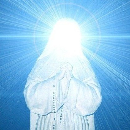 Nothing to lose, A lot to live for