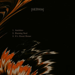PREMIERE: Sebasstian - It's About House [SEB008]