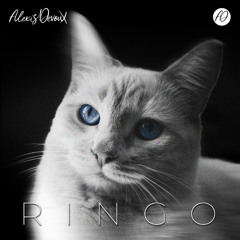 RINGO